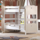 Casakids Feel Κουκέτα Μονή Μετατρεπόμενη με Αποσπώμενη Σκάλα Για 2 Διαστάσεις Στρωμάτων Casakids Feel Κουκέτα Μονή Μετατρεπόμενη με Αποσπώμενη Σκάλα Για 2 Διαστάσεις Στρωμάτων